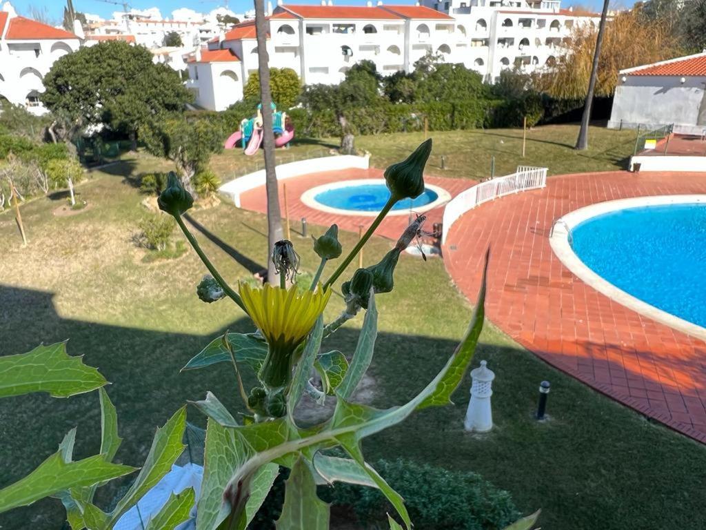 Painel De Albufeira Apartment Екстериор снимка